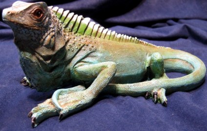 IGUANA MARMOLINA 006
